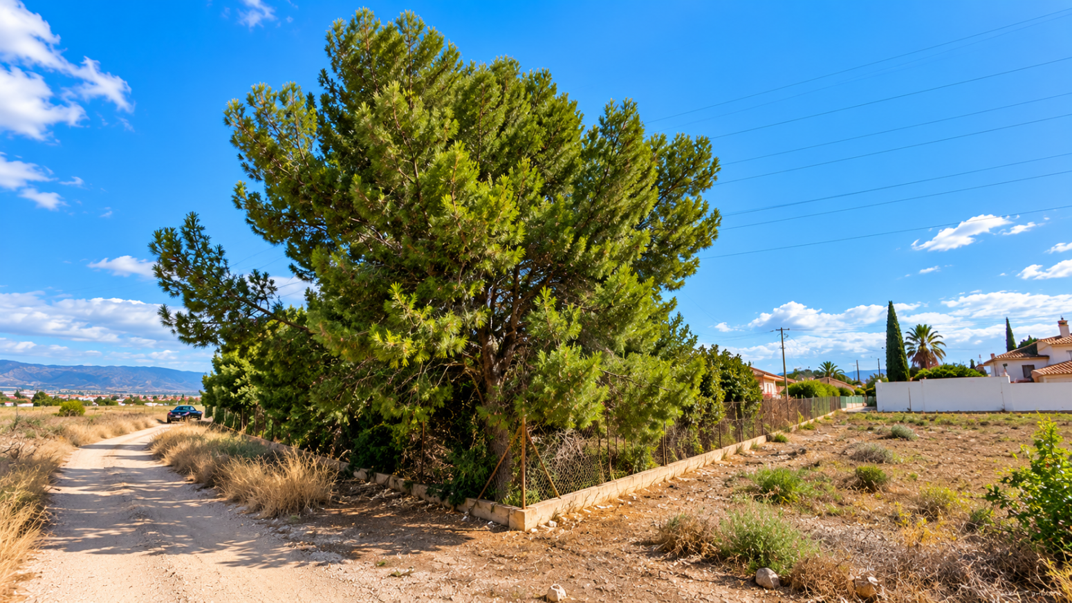 PARCELA URBANA EN URBANIZACIÓN DE LA PALOMA, EL PALMAR. SE EL PRIMERO EN ELEGIR TU PARCELA