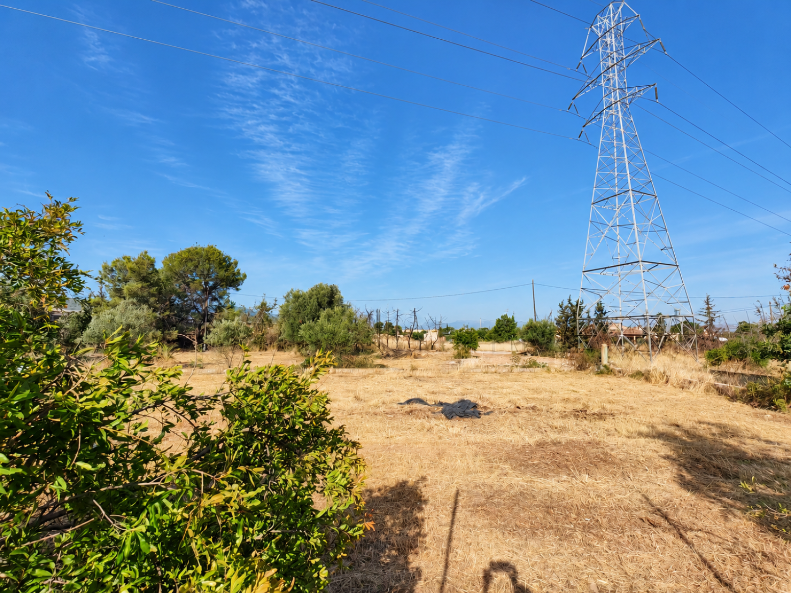 PARCELA URBANA EN EL PALMAR: CONSTRUYE TU CASA RODEADA DE NATURALEZA CERCA DEL MONTEVIDA