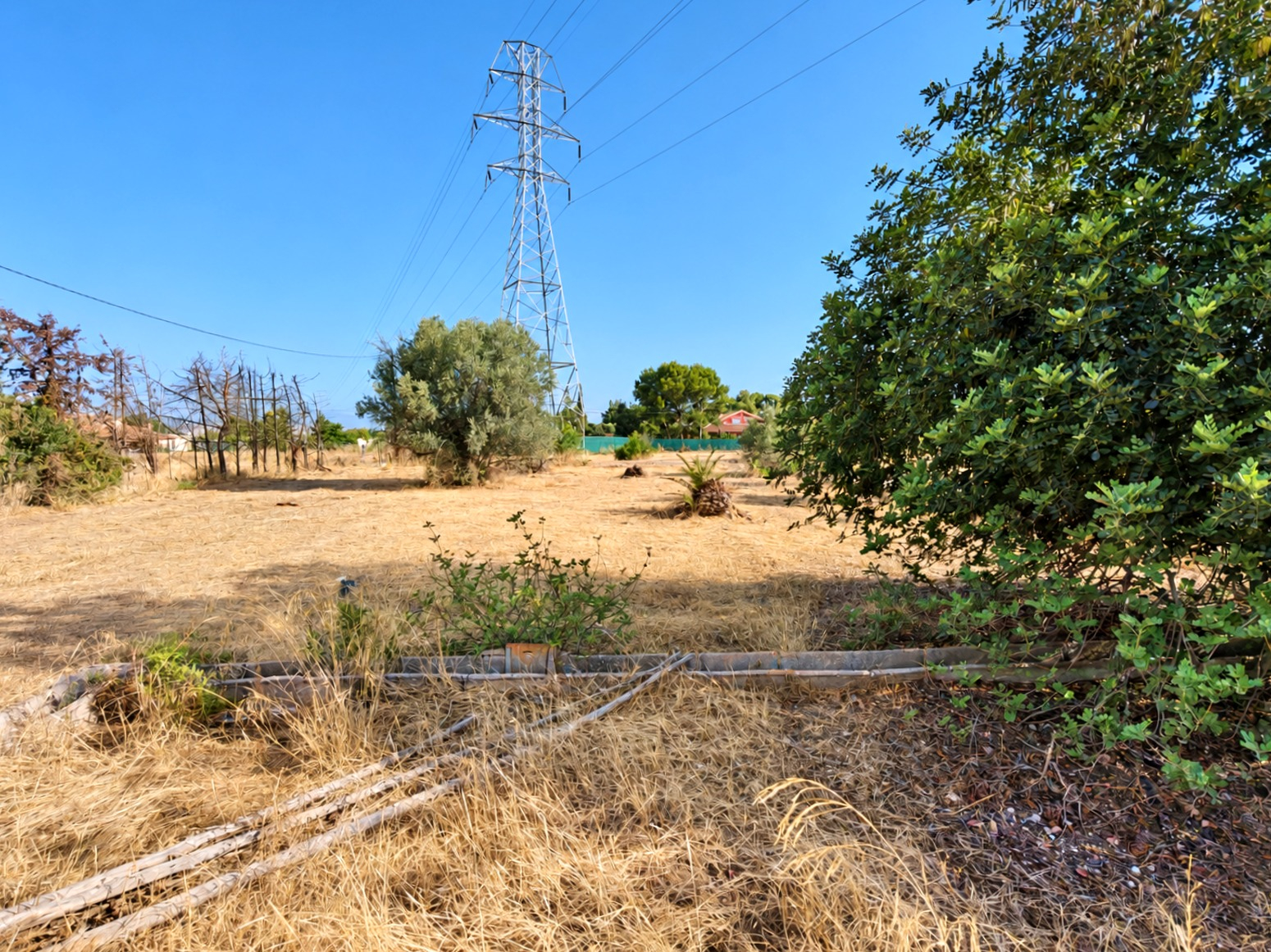 PARCELA URBANA EN EL PALMAR: CONSTRUYE TU CASA RODEADA DE NATURALEZA CERCA DEL MONTEVIDA